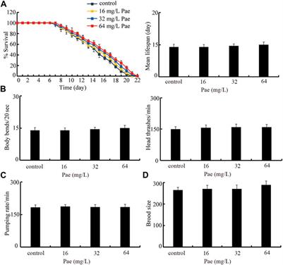 Paeoniflorin mitigates high glucose-induced lifespan reduction by inhibiting insulin signaling in Caenorhabditis elegans